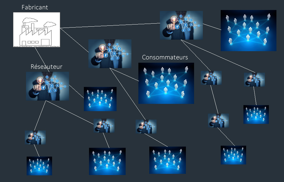 Schema corporate